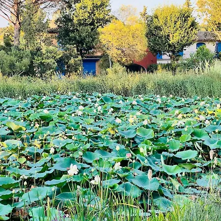 Βίλα With Private Garden, Domaine Les Restanques *